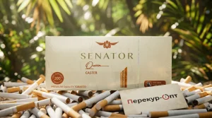 Senator Queen Caster