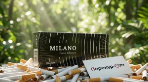 Milano Casa Blanca