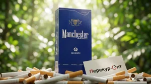 Manchester Queen Blue (Манчестер Компакт Блю)
