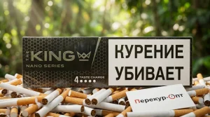 The King Nano Series Taste Charge 4 (Кинг Нано Тейст Чардж)