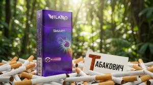 Milano Smart Blueberry · Милано Смарт Черника — купить оптом