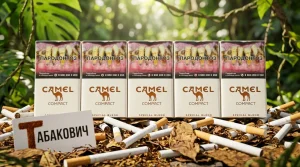 CAMEL SPECIAL COMPACT WHITE МЕД · КЭМЛ СПЕШЛ КОМПАКТ БЕЛЫЙ МЕД — купить оптом