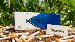 KENT 8 DUTY FREE · КЕНТ 8 ДЬЮТИ ФРИ — купить оптом