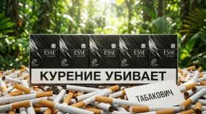 ESSE BLACK · ЕССЕ ЧЕРНЫЙ — купить оптом