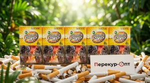 Esse Summer Pop · ЕССЕ САММЕР ПОП — купить оптом