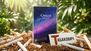Cavallo Clip & Go — купить оптом