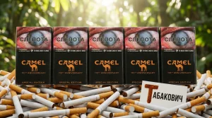 CAMEL SPECIAL EDITION CHOCOLATE · КЭМЛ СПЕШЛ ЭДИШН ШОКОЛАД — купить оптом