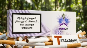 MORION COMPACT BLUEBERRY MINT · Морион компакт голубика мята — купить оптом